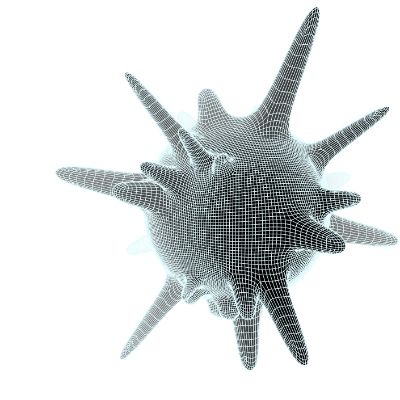 Gallery image 5